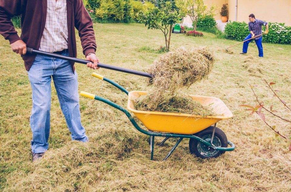 garden clearance